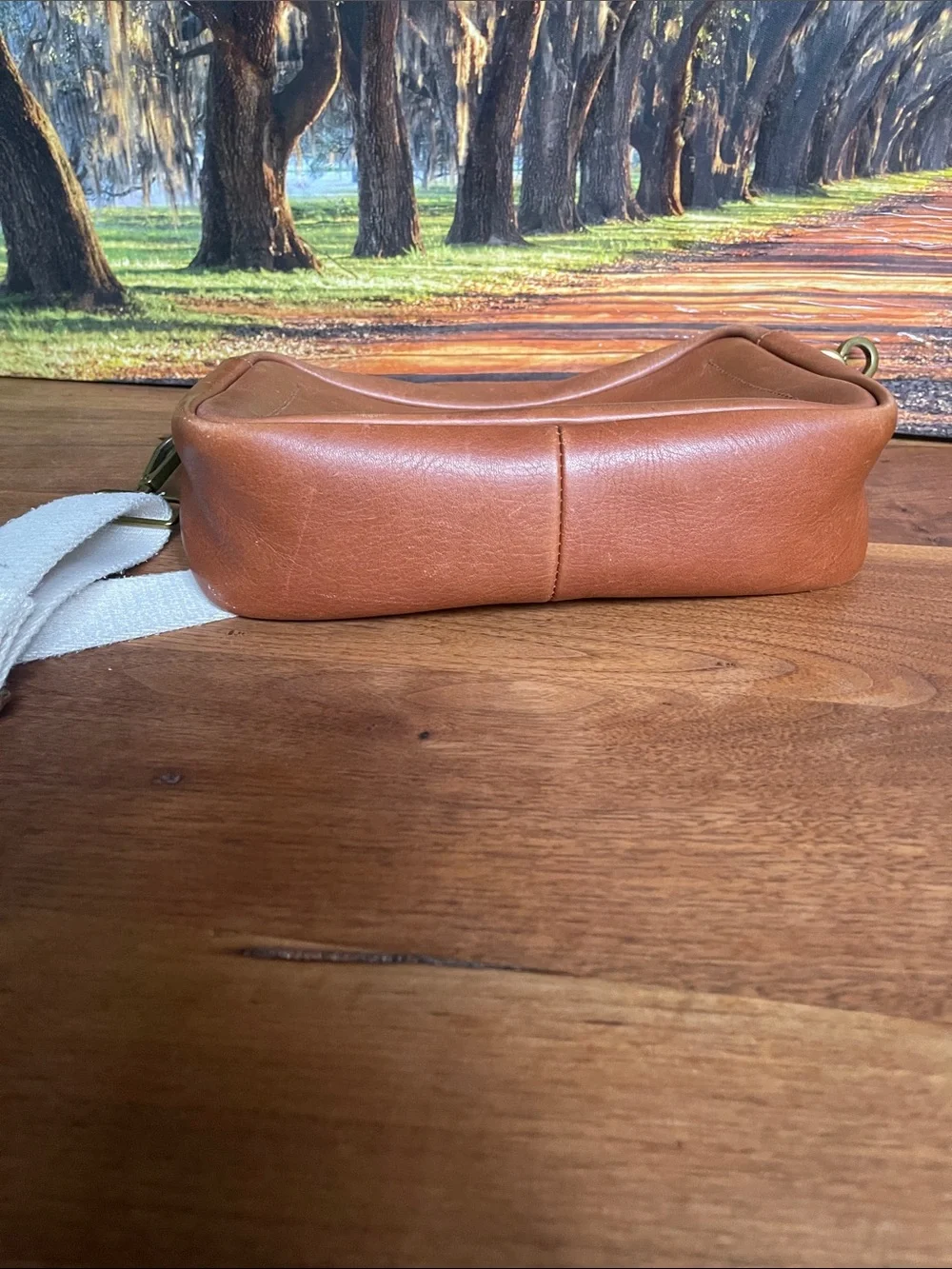 Madewell cow Leather Messenger Bag with canvas Adjustable Strap